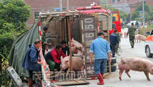 ����������ˮ����ײ һ������