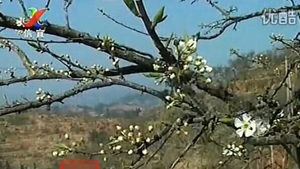 ����Ǯ�����������ʢ��ʱ�� ϲ���ۿ������Ѳ��ݴ���